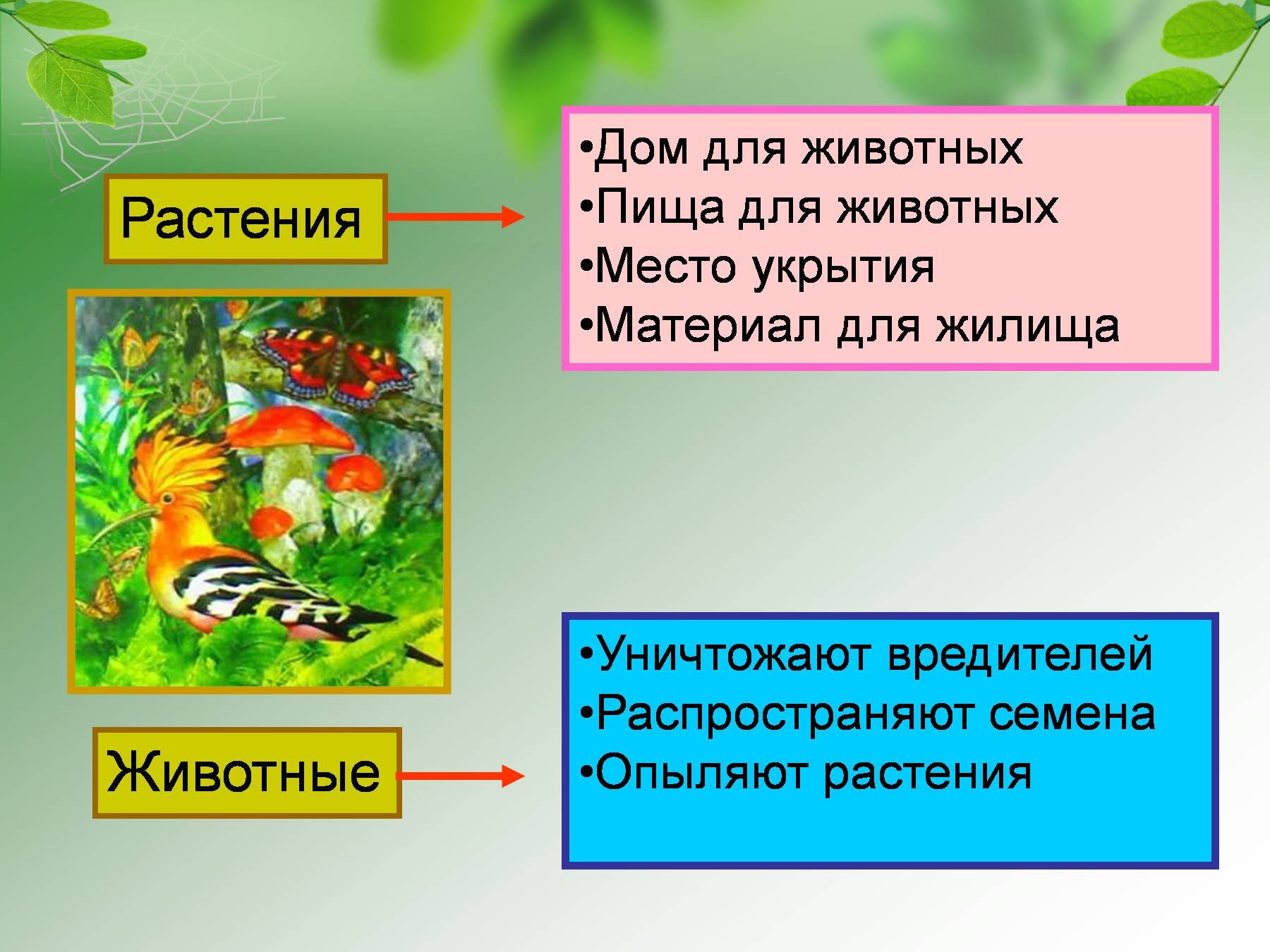 Презентации невидимые нити 2 класс. Взаимосвязь растений и животных. Невидимые нити между растениями и животными. Неневидеммые нити в весеннем лесу. Связь между растениями и животными.