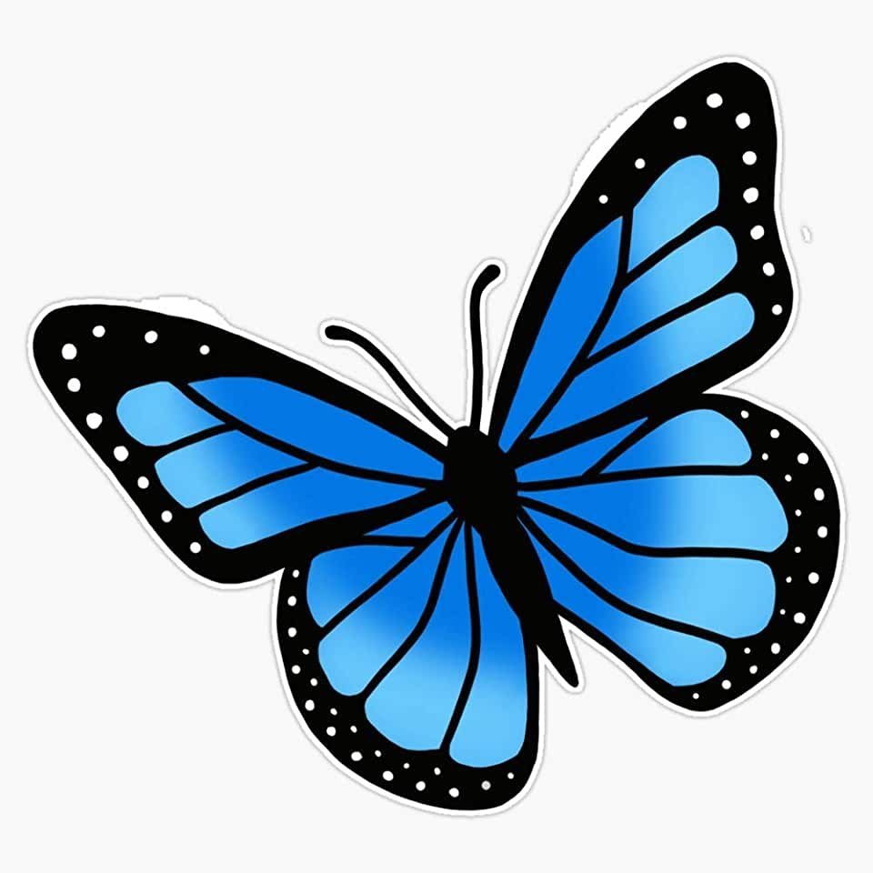 Шаблон синих бабочек